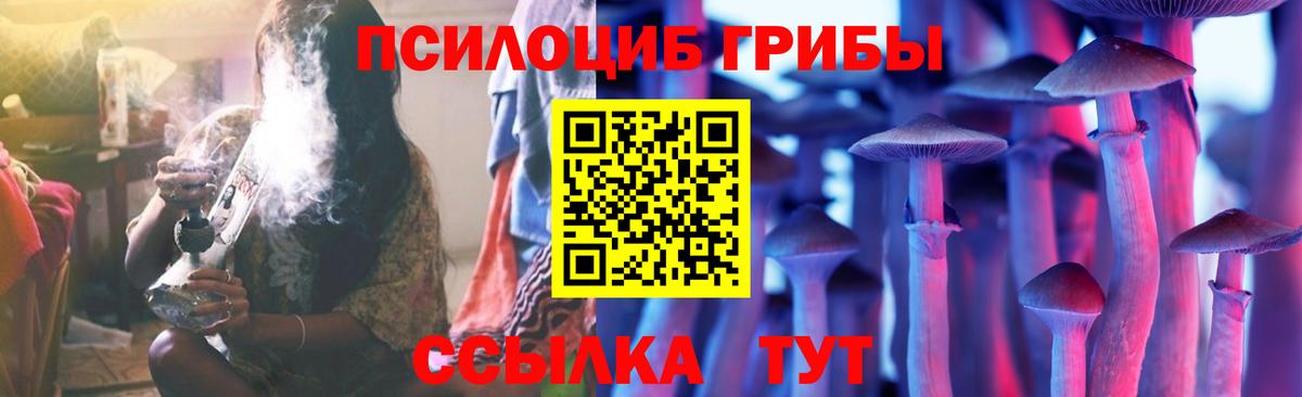 купить  сайты  Вход с VPN  Шахты  Псилоцибиновые грибы Psilocybine cubensis 