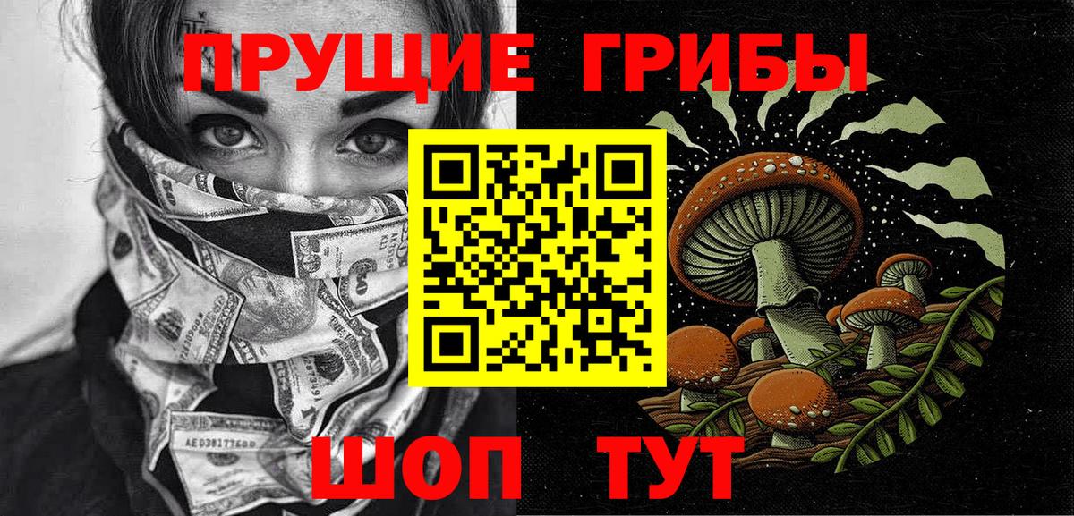 Псилоцибиновые грибы мицелий Шахты